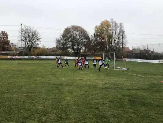 10.11.2018 SpVgg Riedlingen vs. SG Reimlingen-D.