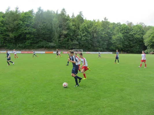 03.06.2017 SG Reimlingen-D. vs. FC Mertingen